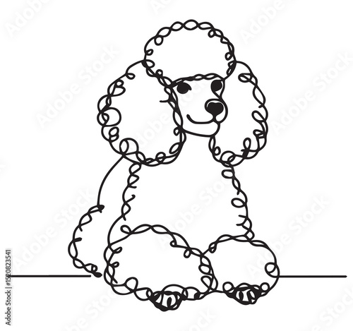 Cute Poodle Dog Single Line Art Drawing Minimalist Pet Animal Illustration