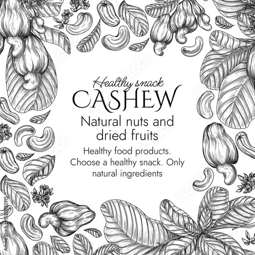 Vector border with a branch of blooming cashew in engraving style. Graphic banner with nuts on a tree. Template with the cultivation of a healthy snack. Nuts in shell and in cut. Cashew fruit