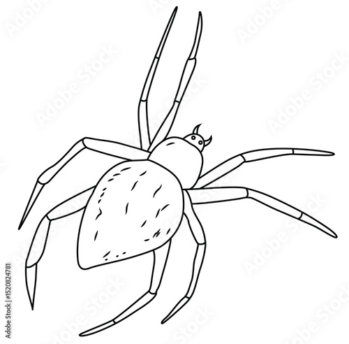 Cute cartoon hand drawn vector spider outline.