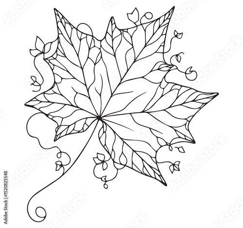 Detailed Botanical Maple Leaf Line Art Drawing Decorative Vines Small Leaves Outline Coloring Page