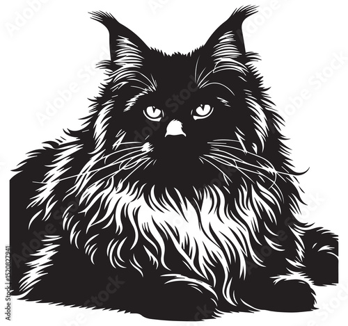 Highly Detailed Black and White Vector Illustration of a Majestic Fluffy Maine Coon Cat Portrait Art Drawing