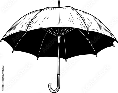 Detailed black and white illustration of an open umbrella, highly detailed, digital art, vector