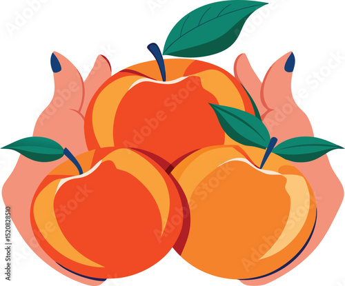 Three ripe peaches held in gentle hands