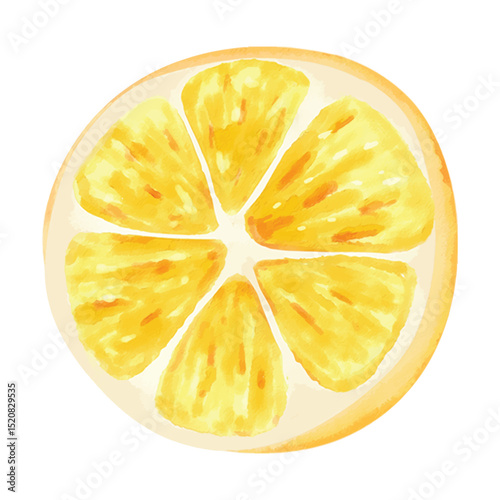 Watercolor clip art image of a lemon slice