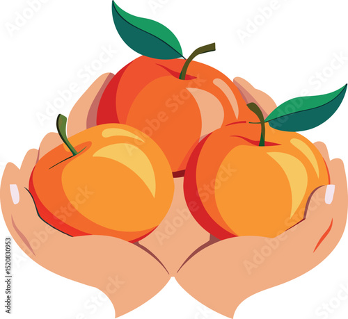 Three ripe peaches held in caring hands