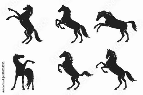 silhouettes of horses