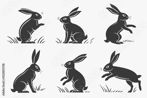 rabbits