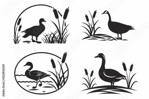 set of birds