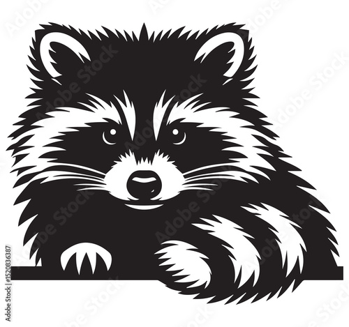 Cute Black and White Raccoon Illustration Vector Art Peeking Animal Wildlife Graphic Design Clipart