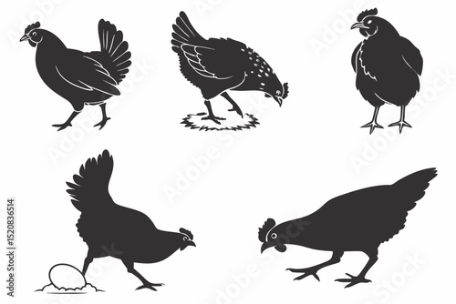 set of chicken