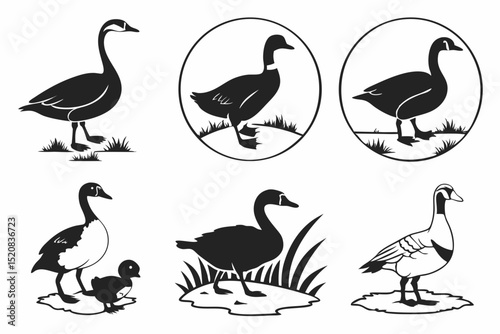 set of silhouettes of birds