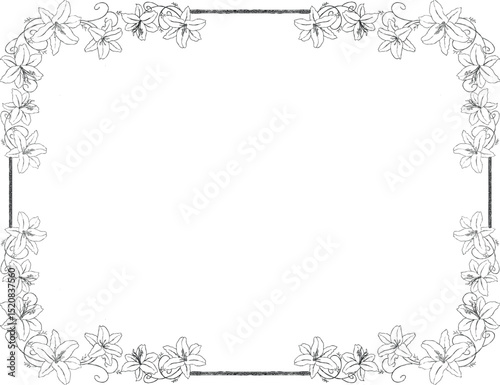 lily floral border and frame illustration