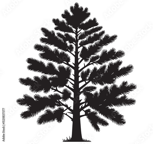 Highly Detailed Black and White Silhouette of a Pine Tree Graphic Isolated on White Background Nature Evergreen Coniferous Outline Shape Icon