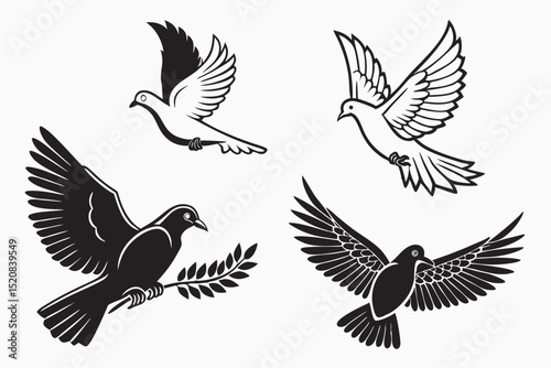 vector illustration of a dove