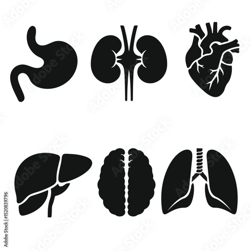 Black vector Human Internal Organs Icon Set, Brain, Heart, Lungs, Liver, Kidneys, and Stomach in Black Silhouette Style