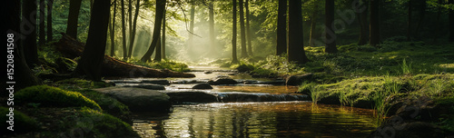 Wide - format banner forest stream background, natural scenery of sunlight penetrating woods onto water surface