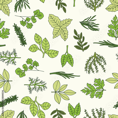 HERBS seamless pattern hand drawn botanical illustration simple plants drawing vegetable artistic modern doodles green kitchen gardening