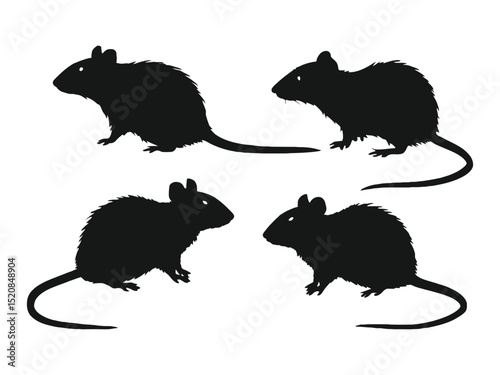 Dynamic Rat Silhouettes: Urban Rodent Vector for Pest Control and City Themes

