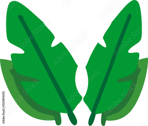 Green banana leaves icon