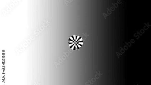 Monochrome Radial Burst with Abstract Form
