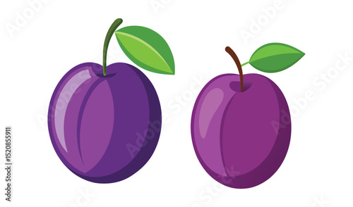Two plums with leaves illustration