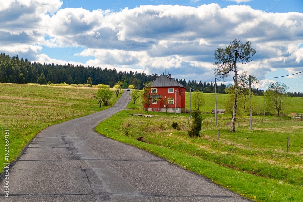 Fototapeta premium beautiful nature in krusne hory mountains in czechia