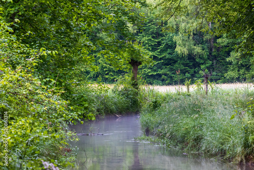 Tranquil stream surrounded by forest and meadow transition