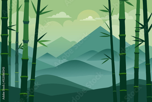 bamboo forest in the morning