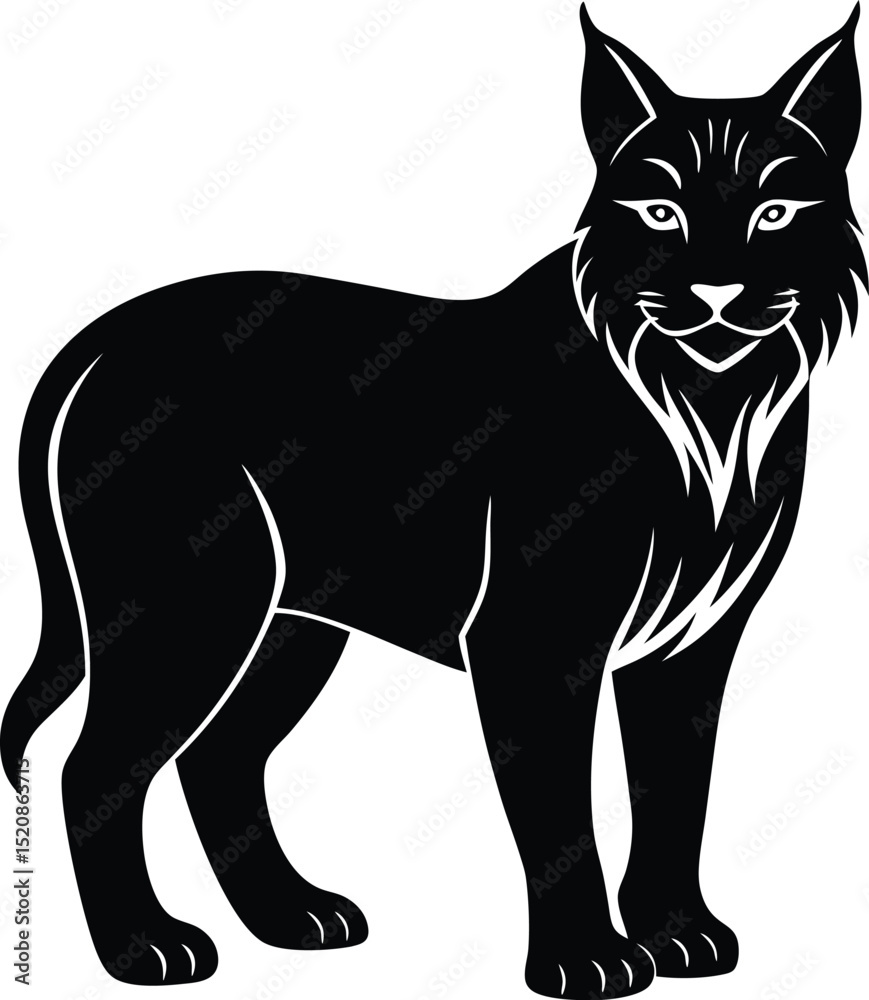 Obraz premium black cat vector illustration