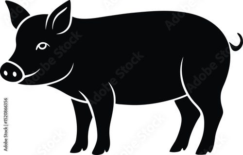 vector illustration of a black horse