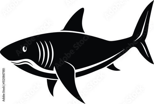 vector illustration of a shark