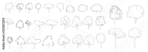 Cad tree line minimal style, set of graphics trees elements outline symbol for architecture and landscape design drawing. Vector illustration.