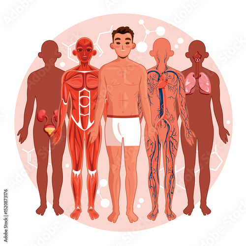 Human Body Systems Flat Illustration
