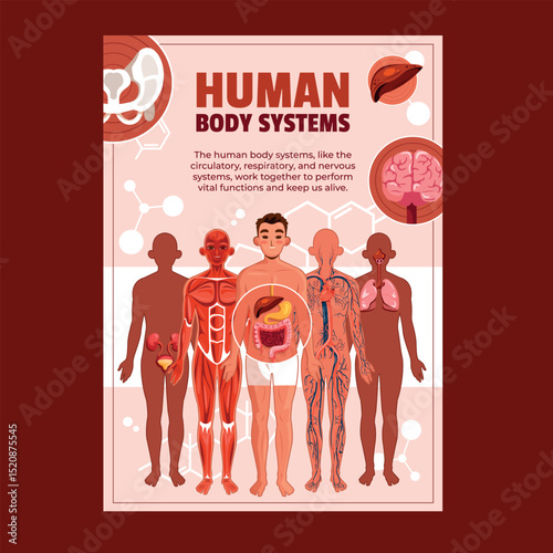 Human Body Systems Flat Poster