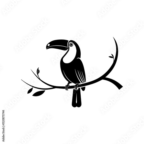 Toco Toucan Silhouette on Branch: A striking black and white silhouette of a toco toucan perched gracefully on a branch. The illustration showcases the bird's prominent beak.