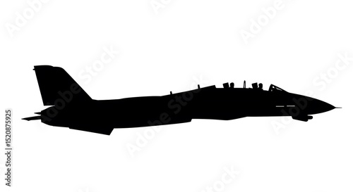 F-14 Tomcat Fighter Jet Silhouette