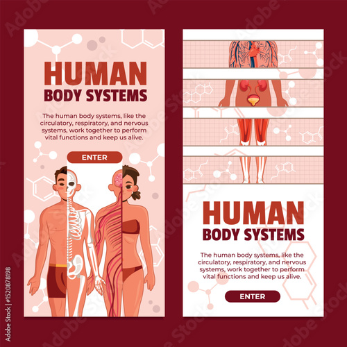 Human Body Systems Flat Vertical Banner Set