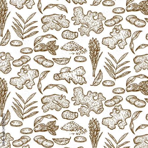 Ginger root set hand drawn decoration seamless pattern