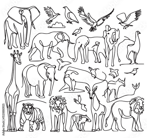 Continuous Line Art Safari Animals Elephant Giraffe Lion Tiger Zebra Birds Wildlife Drawing