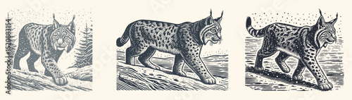 Engraving Style Illustration of a Lynx Stalking in Snow – Vintage Woodcut Wildlife Design, Hand-Drawn Wild Cat in Winter Forest Scene