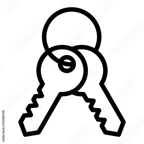 Keys icon. Vector line icon