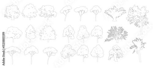 Cad tree line minimal style, set of graphics trees elements outline symbol for architecture and landscape design drawing. Vector illustration.