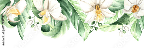 Watercolor baner from tropical leaves and white orchid flowers isolated illustration. Postcard template with copy space for rainforest design. Hand drawn frame of phalaenopsis and lush foliage jungle.
