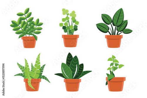 Indoor Houseplants in Clay Pots vector illustration