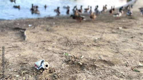 A crumpled metal drink can lies on a sandy river bank against the backdrop of a flock of ducks as a concept for preserving the cleanliness of the environment and ecology