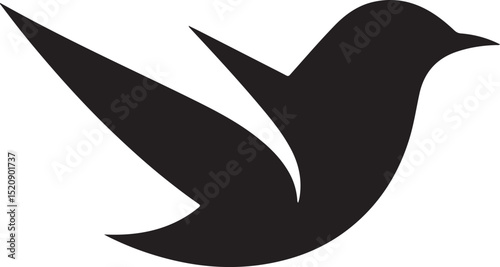 vector illustration of a bird
