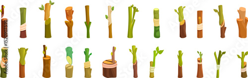 Plant grafting icons set. Grafting process showing different stages of plant propagation technique, using scions and rootstocks for horticulture and agriculture