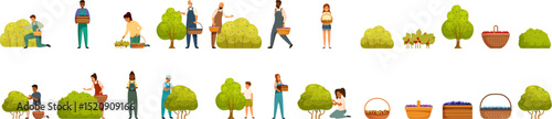 Berry picking icons set. Farmers picking berries from bushes and trees, filling baskets with fresh produce in orchard