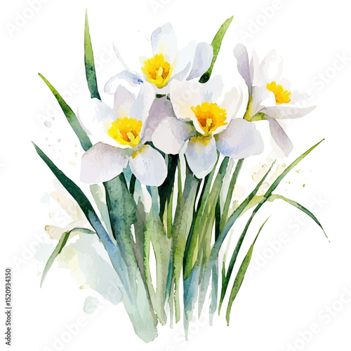 Melting Snow Fresh Flowers, watercolor vector, high quality, isolated on a white background.