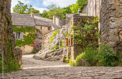 Fototapeta Naklejka Na Ścianę i Meble -  View from a street in the medieval village of La Couvertoirade, beautiful village in France, Aveyron